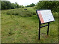 Southorpe Paddock Nature Reserve in Southorpe