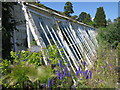 Derelict glasshouse at The Walled Nursery in TN18 5DF