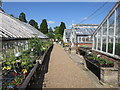Glasshouses at The Walled Nursery in TN18 5DF