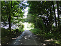 Road between Roger and High Grove Plantations in PE32 2SU