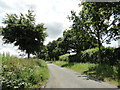 Quiet country road south of Wellingham in PE32 2TH