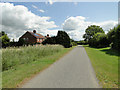 Houses on Wellingham Road near Tittleshall Common in PE32 2PQ
