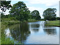 Trent & Mersey Canal at Pasturefields in ST18 0PY