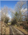 Lane near Downhouse in PL17 8NA