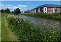 Trent & Mersey Canal at Weston in ST18 0JN