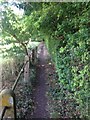 Path towards Little Eversden in CB23 1HU