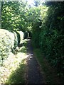 Path towards Little Eversden in Little Eversden