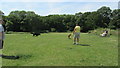 Dog exercise are Toplands Manor Farm in SO30 0LJ