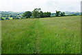 Path across a grassy field in Mapleton