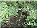 Elmbridge Brook upstream in WR9 9HH