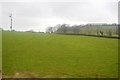 Grazing land, Hewish in West Crewkerne