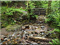 Woodland stream near Kinlochmore in PH50 4QL