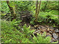 Bridge over a woodland stream near Kinlochmore in PH50 4QL