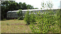 Disused greenhouses at derelict garden centre in IP22 2RQ