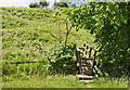 Footbridge over Grindleton Brook in BB7 4RA