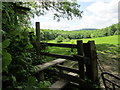 Wooden stile on emerging from Wick Wood in GU34 3BU