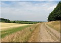 Across Newmarket Heath to The Fens in Woodditton