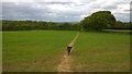 Field path on the Monarch's Way and Illey Way near Waseley Country Park in B45 9AT