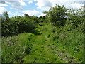 Public footpath near Skerry Hall in YO22 4PP