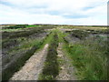 Track acting as a bridleway, Fylingdales and Hawsker Common in YO22 4QH