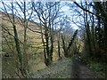 Tamar Valley Discovery Trail near Gunnislake in PL18 9LB