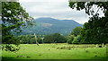 View Towards Whinlatter Forest in CA12 4PN