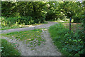 Path waymarker, Bookham Common in KT22 9SH