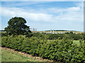 Brogborough Power Station in Cranfield & Marston Moretaine Ward