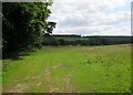 Field and edge of woodland Heslerton Park in YO17 8RB