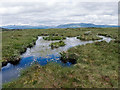 The boggy summit of Cnoc Fyrish in IV16 9XL