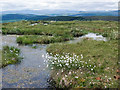 Flat summit of Cnoc Fyrish in IV16 9XL