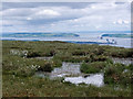 On the flat Cnoc Fyrish summit in IV16 9XL