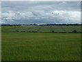 Crop fields, Broxburn in EH52 5PG