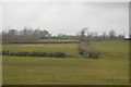 Field and hedge in TA18 8QX