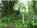 Footpath from Brockfield Lane to Grove Hill in Pembroke Community