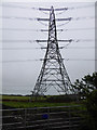 Pylon viewed from Brockfield Lane in Pembroke Community