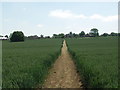 The walk into Scaldwell in Scaldwell
