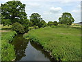 River Cole - downstream in B37 6RB