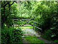 Gateway to Moon's House near Welcombe, Devon in EX39 6HL