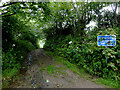 Well Lane near Darracott, Devon in EX39 6HF