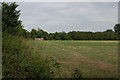 Field near Kent's Farm in CM2 8UY