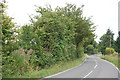 West Hanningfield Road near Little Mascalls in CM2 7SZ