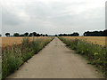 Part of the old perimeter track of RAF Swannington in NR10 4PW