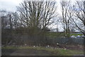 Waste ground by the railway in YO8 4QN