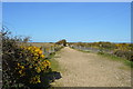 Path by Pagham Lagoon in PO21 4TA