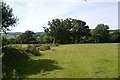  Field near Pinneywood in EX13 7LP