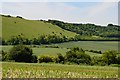 Chalk downland, Inkpen, Berkshire in RG17 9DN