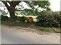 Marsham Lodge Holt Road Postbox in NR10 4DA
