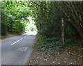 Sussex Border Path leaves Highfield Lane in GU30 7HG