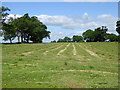 Freshly mown field near Greenhow Farm, Dufton in CA16 6NG